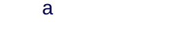 International Footer Logo